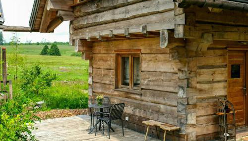 Log Cabin In The Upper Harz Mountains - Foto 2