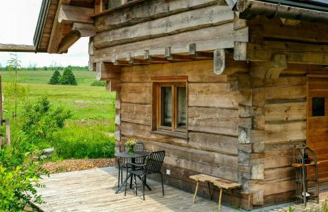 Log Cabin In The Upper Harz Mountains - Foto 2