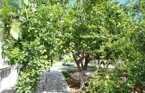 Kostas Family House - Foto 52