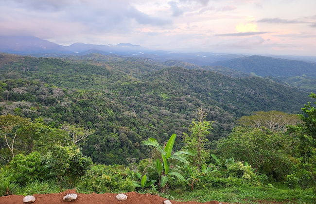 Jaco-carara 3 Bdrm Surrounded by Rainforest With Private Pool - Foto 46