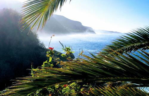 La Pardela Oceanfront - Foto 13