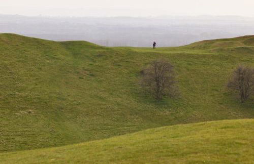 Fab 2 Bed Cotswolds Cottage With Private Courtyard - Foto 63