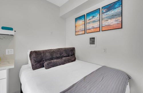 The Shining Sea Crab - Foto 19