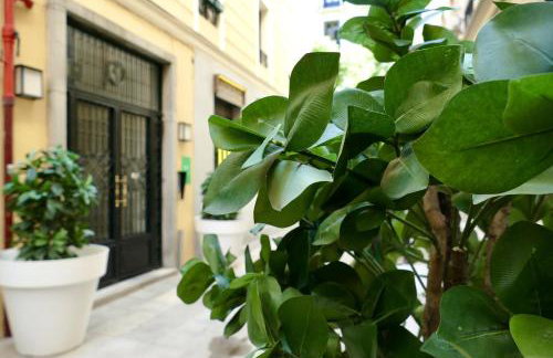 Apartamentos Blume Conde Aranda - Foto 14