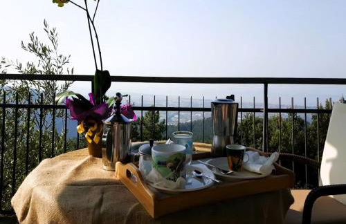 Villa Le Ginestre - Foto 14