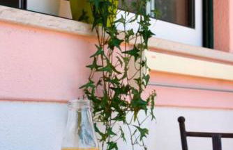 Appartement Willy St. James Luz - Foto 28