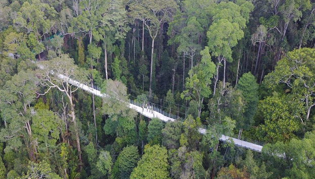 Explora la colina de Penang y el templo: tour de medio día - Foto 3
