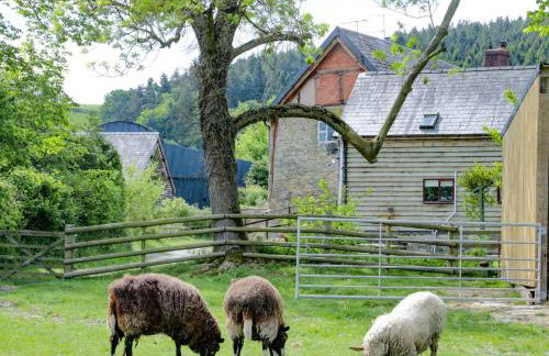 Broughton Stables - Foto 33