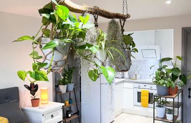 Aplanty Studio in the Orchard - Foto 2