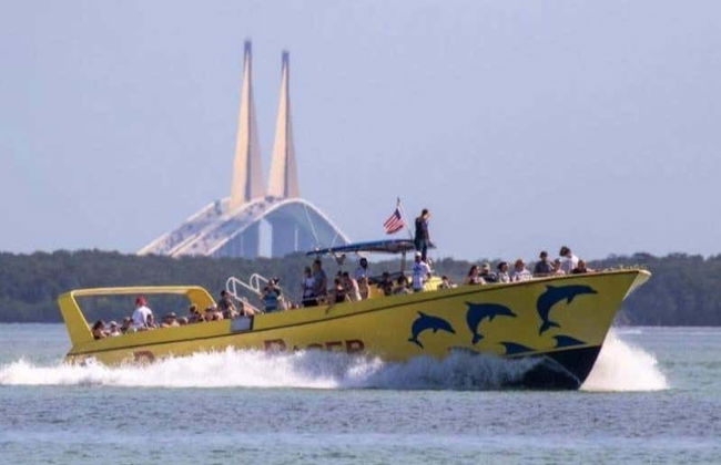 Dolphin Watching in Tampa Bay - Photo 7