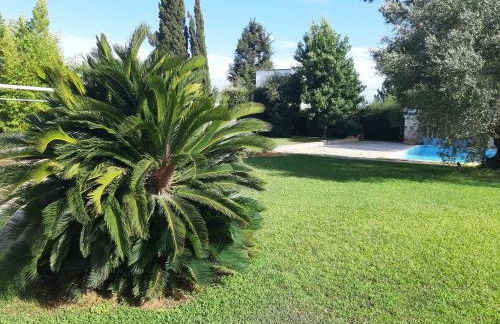 Villa con piscina Circeo - Sabaudia - Foto 8