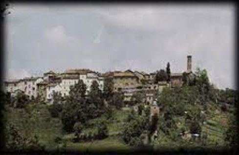 La Fattoria Montalcinello - Foto 39