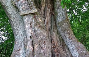 Ferienwohnung am Hochrhöner - Foto 29