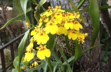 Villa GrandVIEW by Buzios - Foto 73