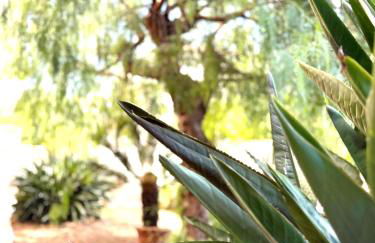 Casa Rosetta - Relax in Centro - Parcheggio Privato, Mare a 2 Passi - Photo 51