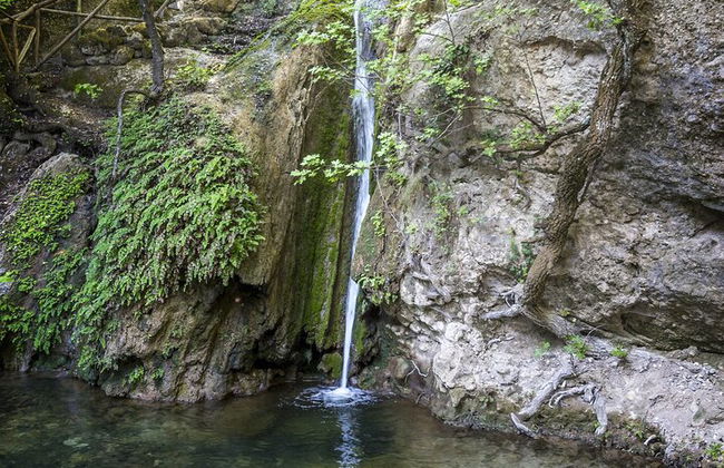 Tour di un'intera giornata con farfalle e barca all'isola di Chalki - Foto 6