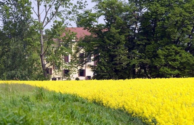 Agriturismo Villa Selvatico - Foto 46