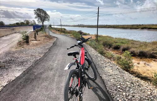 FINCA RIODIEL - Foto 59