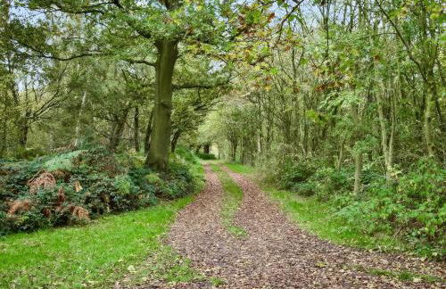 George Lodge - Foto 17