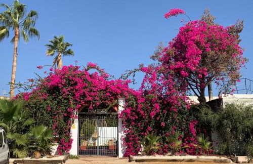 Casa Tranquila - Foto 33