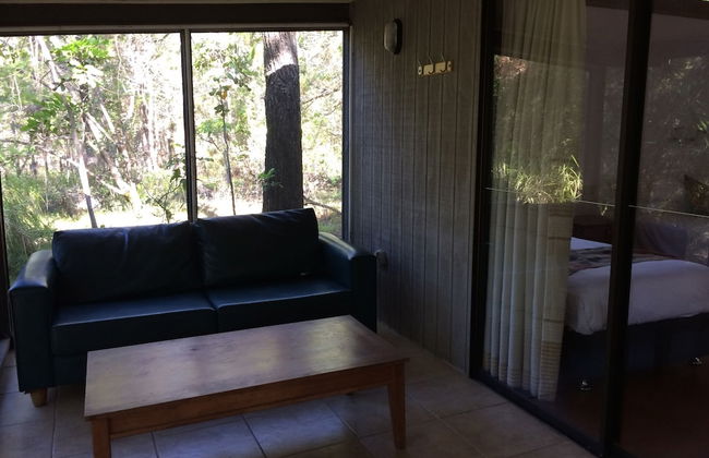 Byron Bay Rainforest Resort - Photo 19