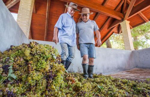 Aneli Luxury Villas - Villa Semeli - Foto 47