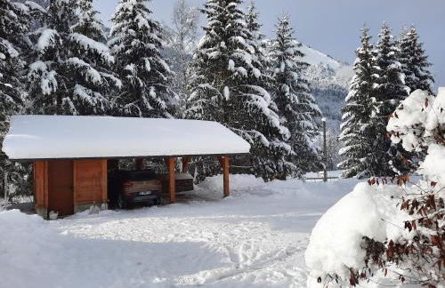 Chalet la sapiniere - Photo 10