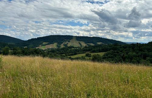 Osada Modrzewiowe Wzgórze Bieszczady - Foto 74