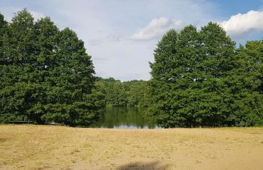 SOWA nad jeziorem Wojnówko gm Murowana Goślina - Foto 21