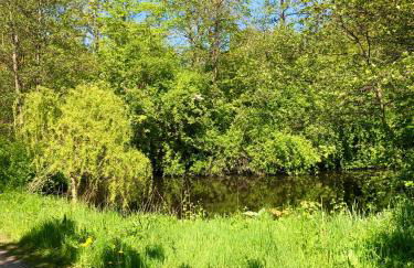 Ferienwohnung Parkblick - Foto 30