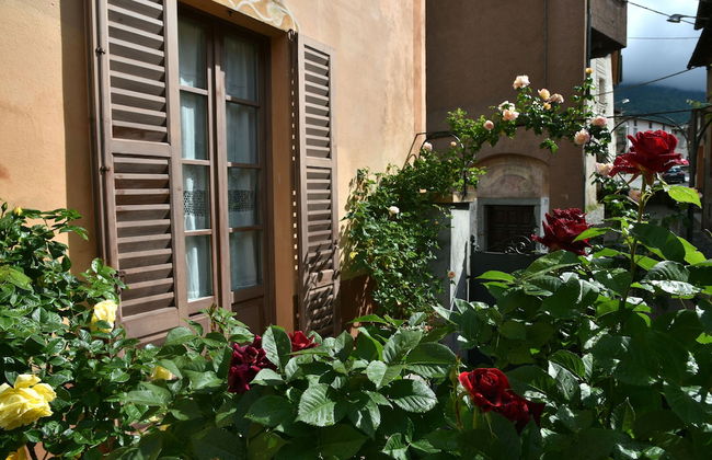 Roseto del Drago - Foto 32