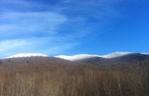 Meadow House Backcountry Residency - Foto 73