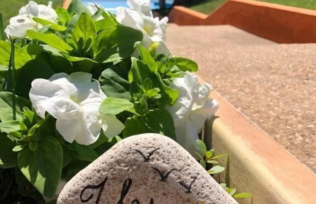 July Morning Seaside Resort - Photo 71