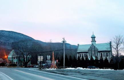 Plant House - Foto 17