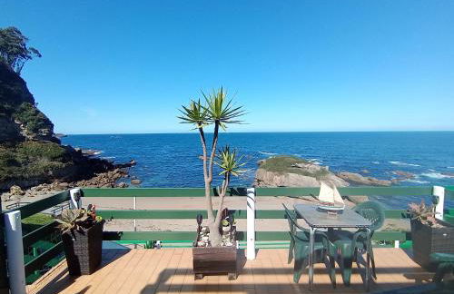 Pura vida Estaño - Foto 1