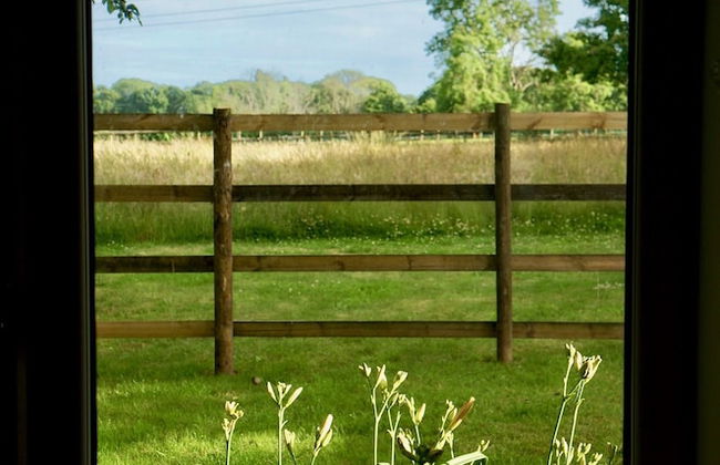 Hazelhurst Farm - Foto 24