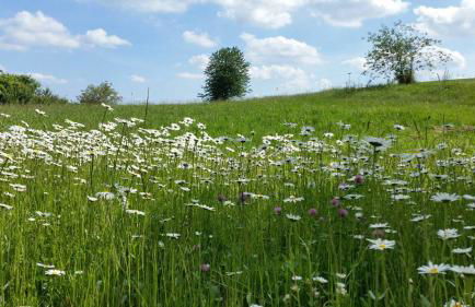Ferienhaus Hornauer - Foto 20