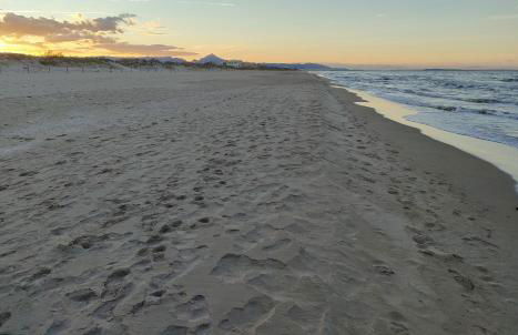 Casa Mayago, terraza y solárium - Foto 60
