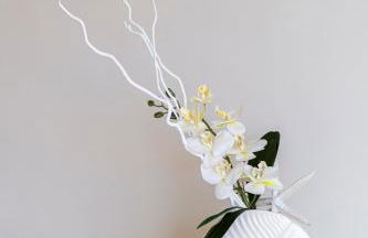 OLEANDRI 3 - Casa ETNA - Foto 15