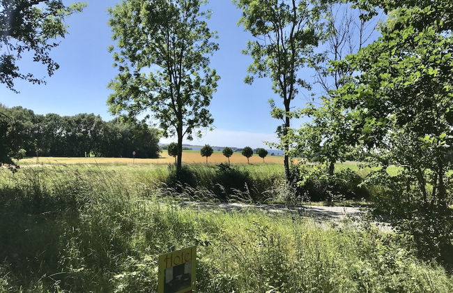 Bungalow Park am Salzhaff - Foto 46