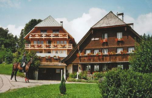 Apartment in Dachsberg-urberg - Foto 28