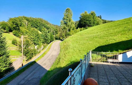 Apartment Sonnenglück im Schwarzwald with Panoramaview, Terrace, 3 Bedrooms - Foto 20