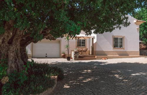 Monte 3 Alfarrobeiras - Foto 7