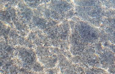 Villa Nicole - STELLA MARINA APARTMENT - Foto 15