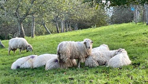 Villa ARGUIBEL - Foto 5