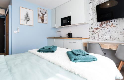 Apparts Seasons - Saint Étienne - La Terrasse - Foto 17