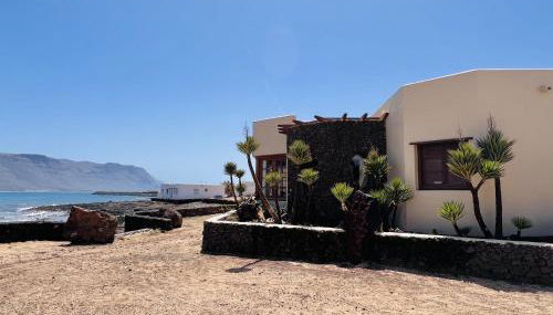 Flor de Cactus, La Graciosa - Foto 4