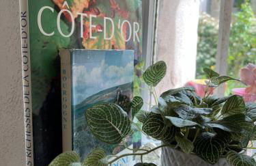 L'Atelier d'Olga - Homillesime - Foto 73