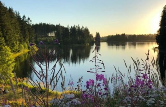 The Parents' House Comfortable Holiday Residence - Photo 23