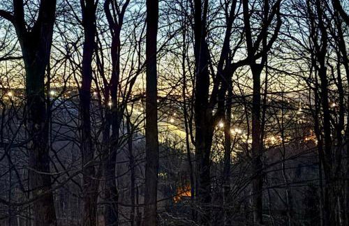 Swiss Mtn Condo 3 Mi to Seven Springs Resort - Photo 28